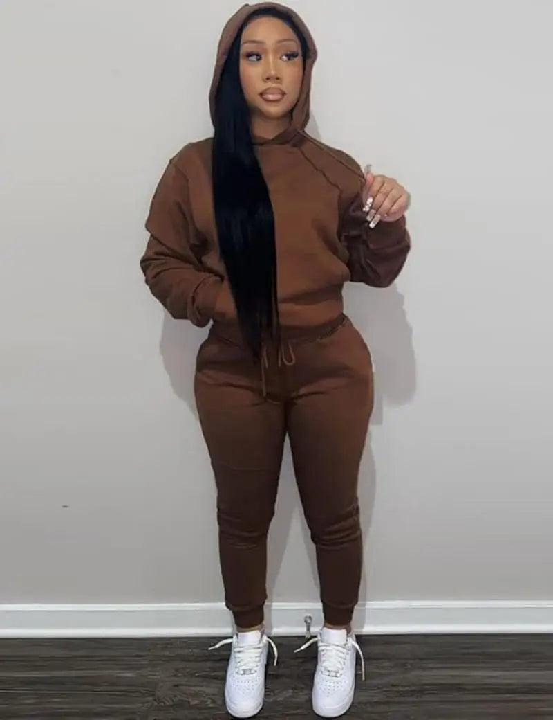 Sweatsuits for Women Set 2 Piece Outfits Long Sleeve Hoodie Top and Jogger Pants casual Tracksuit