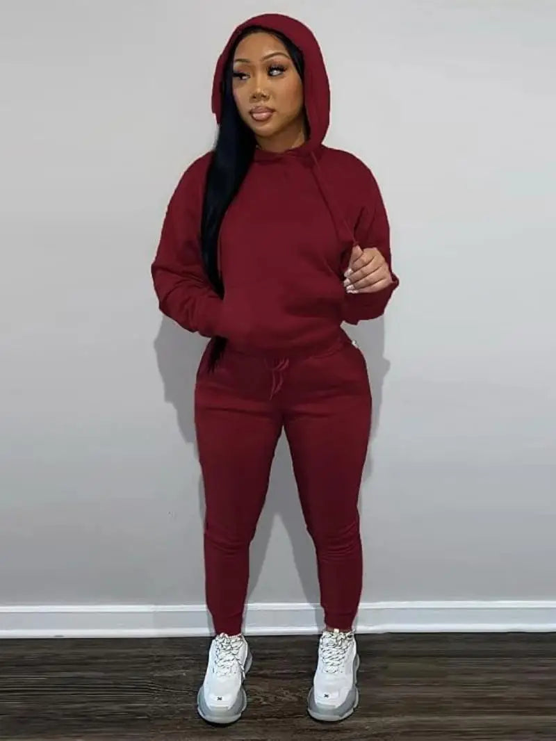 Sweatsuits for Women Set 2 Piece Outfits Long Sleeve Hoodie Top and Jogger Pants casual Tracksuit