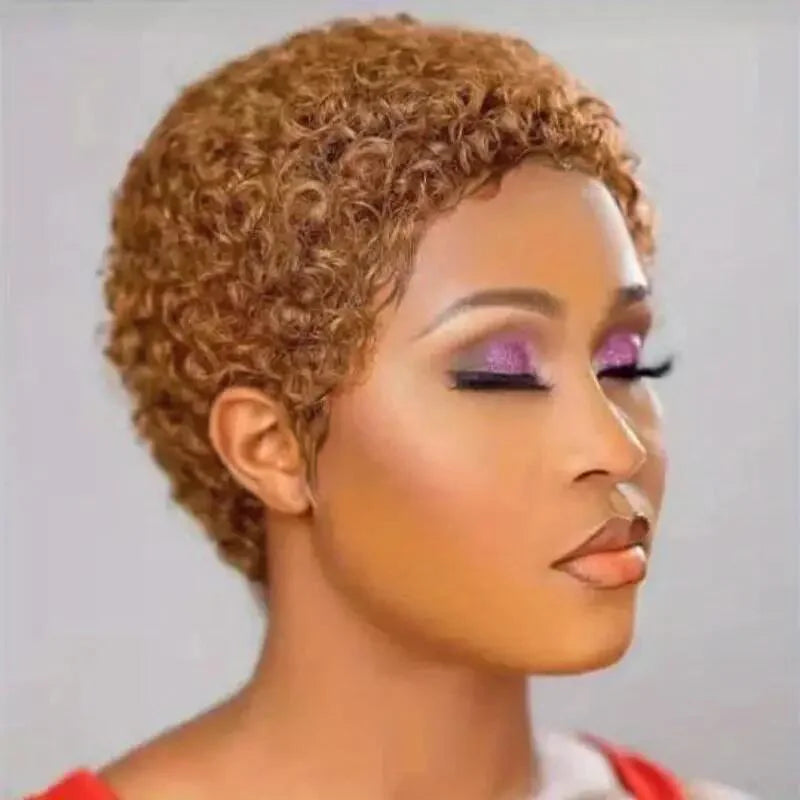 Pixie Cut Kinky Curly Wig-Natural Black 99J 30# 27# Brazilian Human Hair, 150% Density for Everyday Machine Made Wig